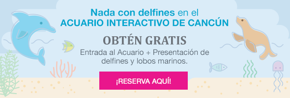 Nada con delfines en el ACUARIO INTERACTICO CANCÚN