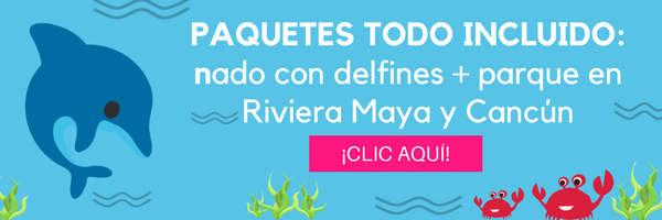 Nado con delfines + parque en Riviera Maya y Cancún