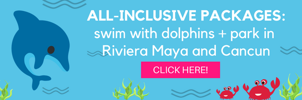 Swim with dolphins + park in Riviera Maya and Cancun