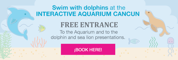 Swim with dolphins at the INTERACTIVE AQUARIUM CANCUN