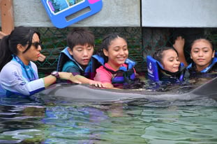 Educación ambiental y bienestar animal desde la infancia: por qué Delphinus es el mejor aliado para aprender sobre el océano