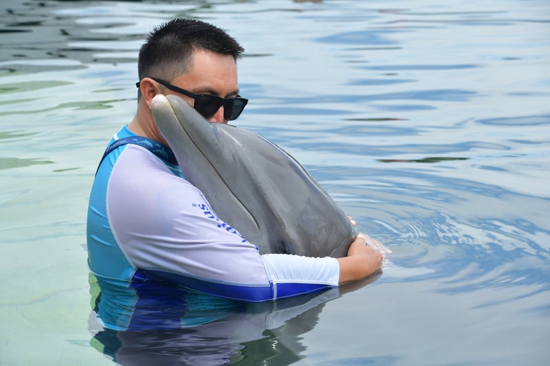 605681155_1269543041872993_2721063097211245229_n