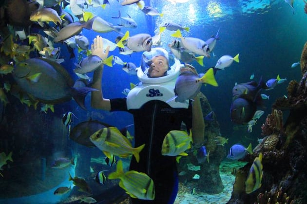 Acuario interactivo Cancun, Sea Trek