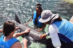 Delphinus: compromiso real con el bienestar animal y la conservación marina