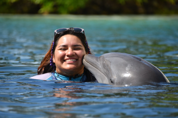 Delphinus dolphin kiss