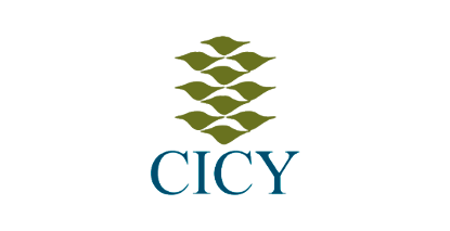 Cicy logo