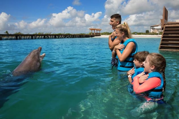 Conoce Delphinus Punta Cancun en tus vacaciones