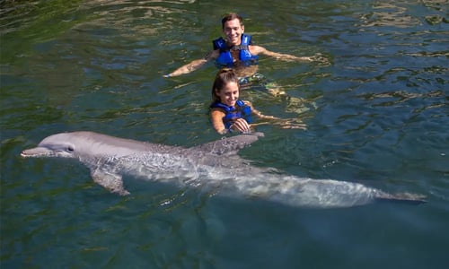 Couple Swim with dolphins Cancun Riviera Maya