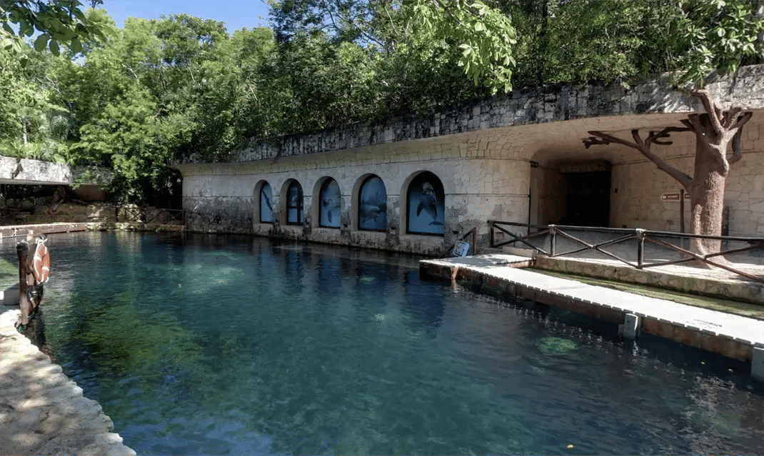 Delphinus Riviera Maya