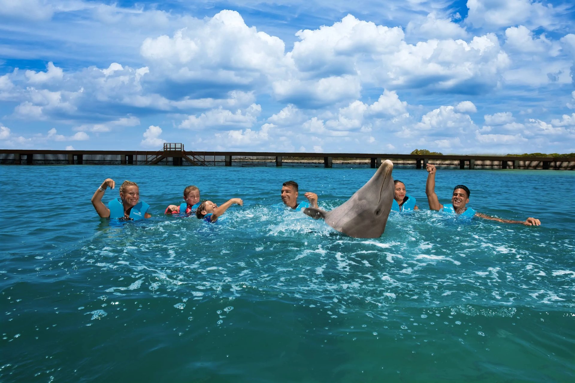 nado con delfines