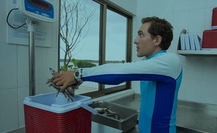 Learn about our commitment to marine life