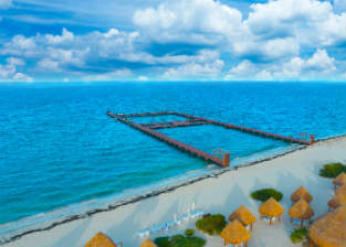 delphinus-dreams-playa-mujeres