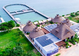 swim-with-dolphins-in-mexico-delphinus-puerto-morelos