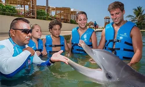 Dolphin trainer cancun and riviera maya