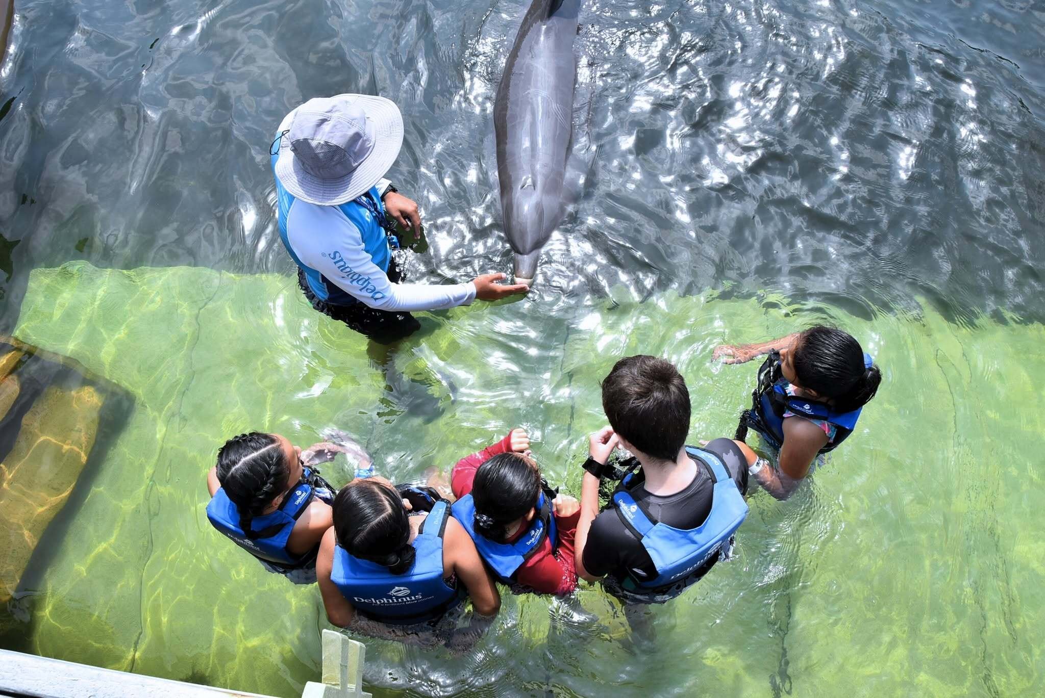 Educacion ambiental