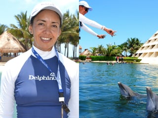 Animal care specialist - swimming with dolphins_-_Delphinus.png