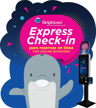 Express Check-in