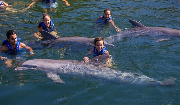 Ideas for vacations with kids  to the caribbean