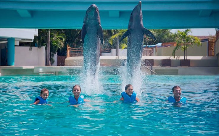 nado con delfines en mexico cancun riviera maya