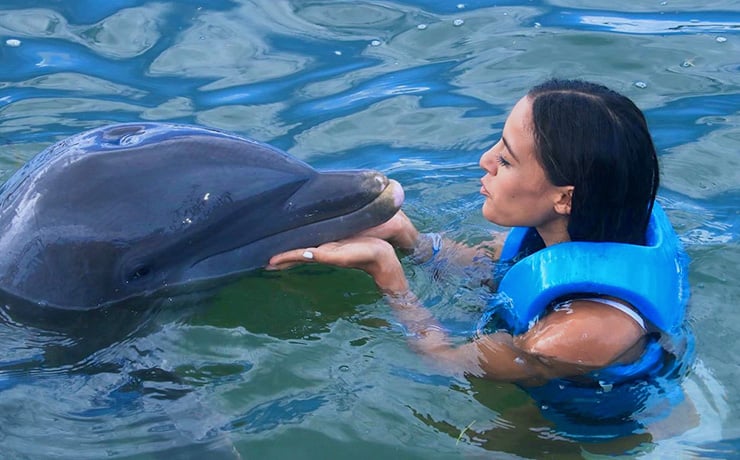 Swimming with dolphins in Mexico Cancun riviera Maya