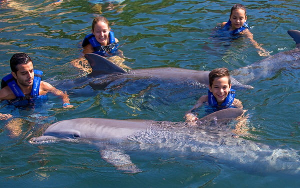 nado con delfines en mexico cancun riviera maya