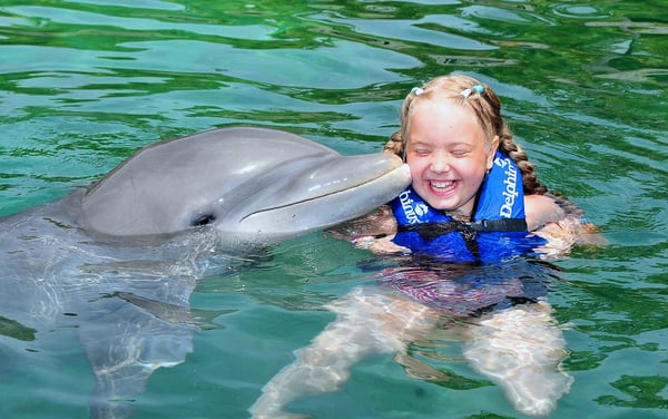 What do I need to know before swimming with dolphins