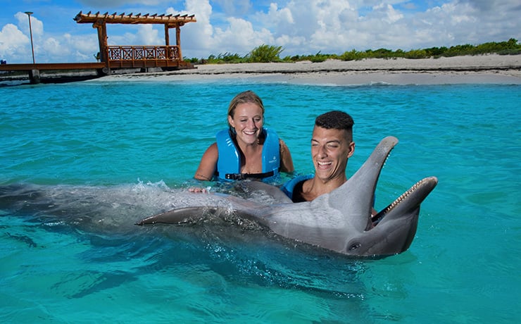 Swimming with dolphins in Mexico Cancun riviera Maya