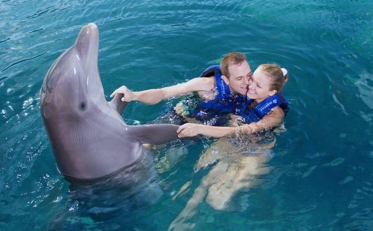 nado con delfines en mexico cancun riviera maya