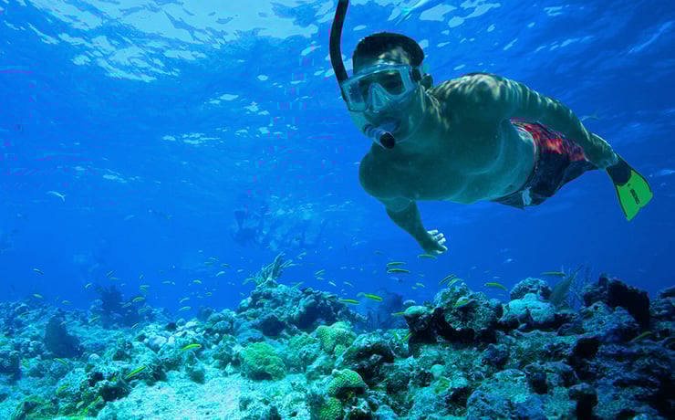 Swimming with dolphins in Mexico Cancun riviera Maya