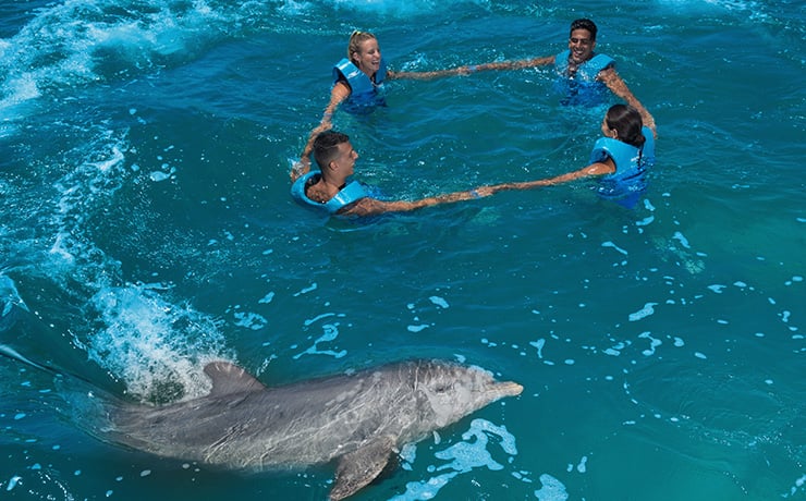 Swimming with dolphins in Mexico Cancun riviera Maya