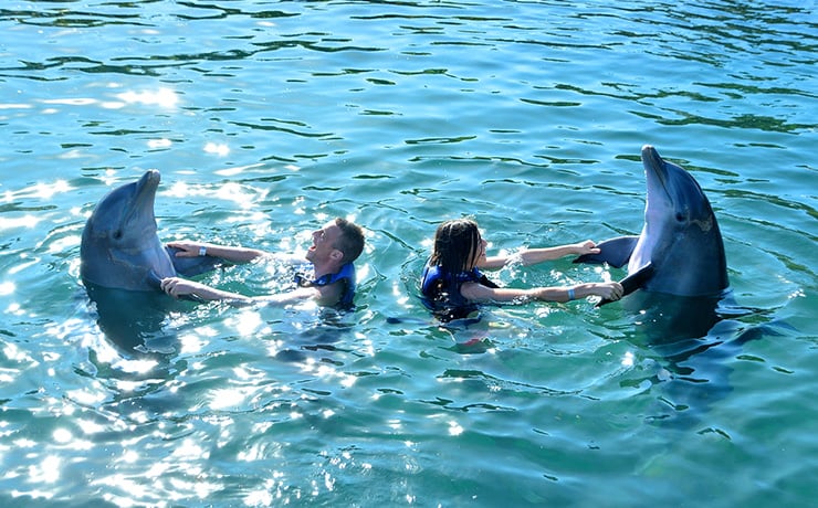 Swimming with dolphins in Mexico Cancun riviera Maya
