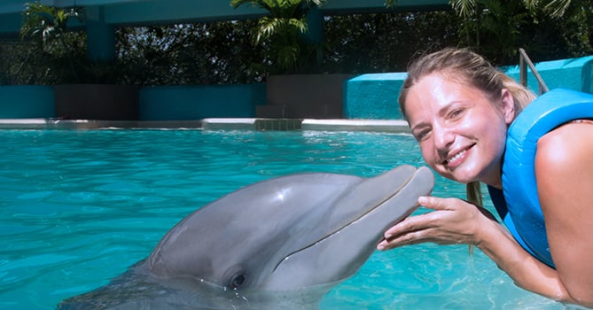 Swim With Dolphins In Canc 250 N Up To 25 Discounts Delphinus