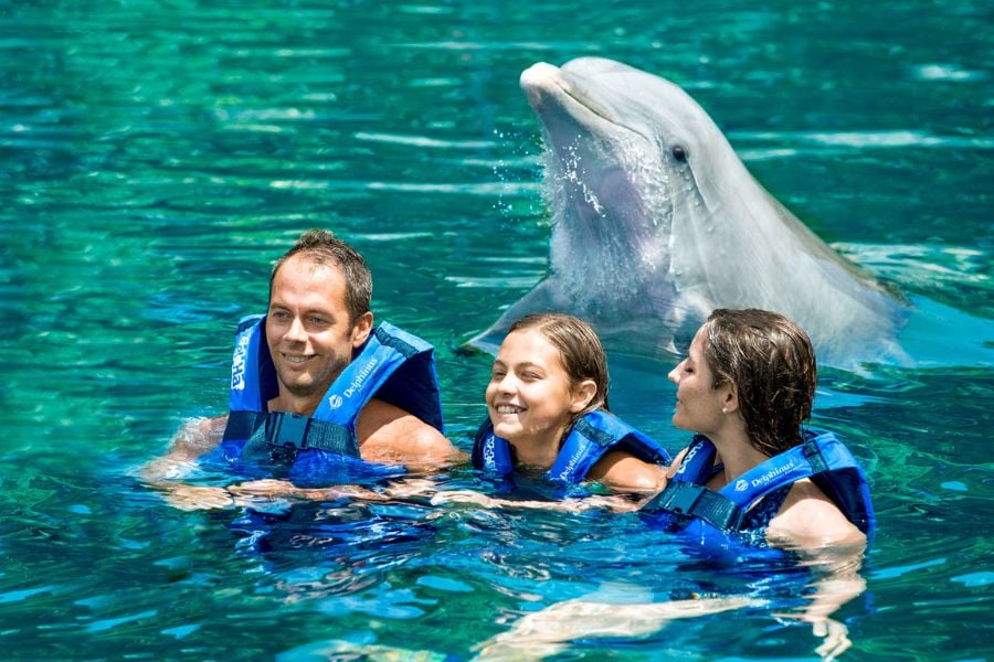 INTERIOR-DELPHINUS (3)