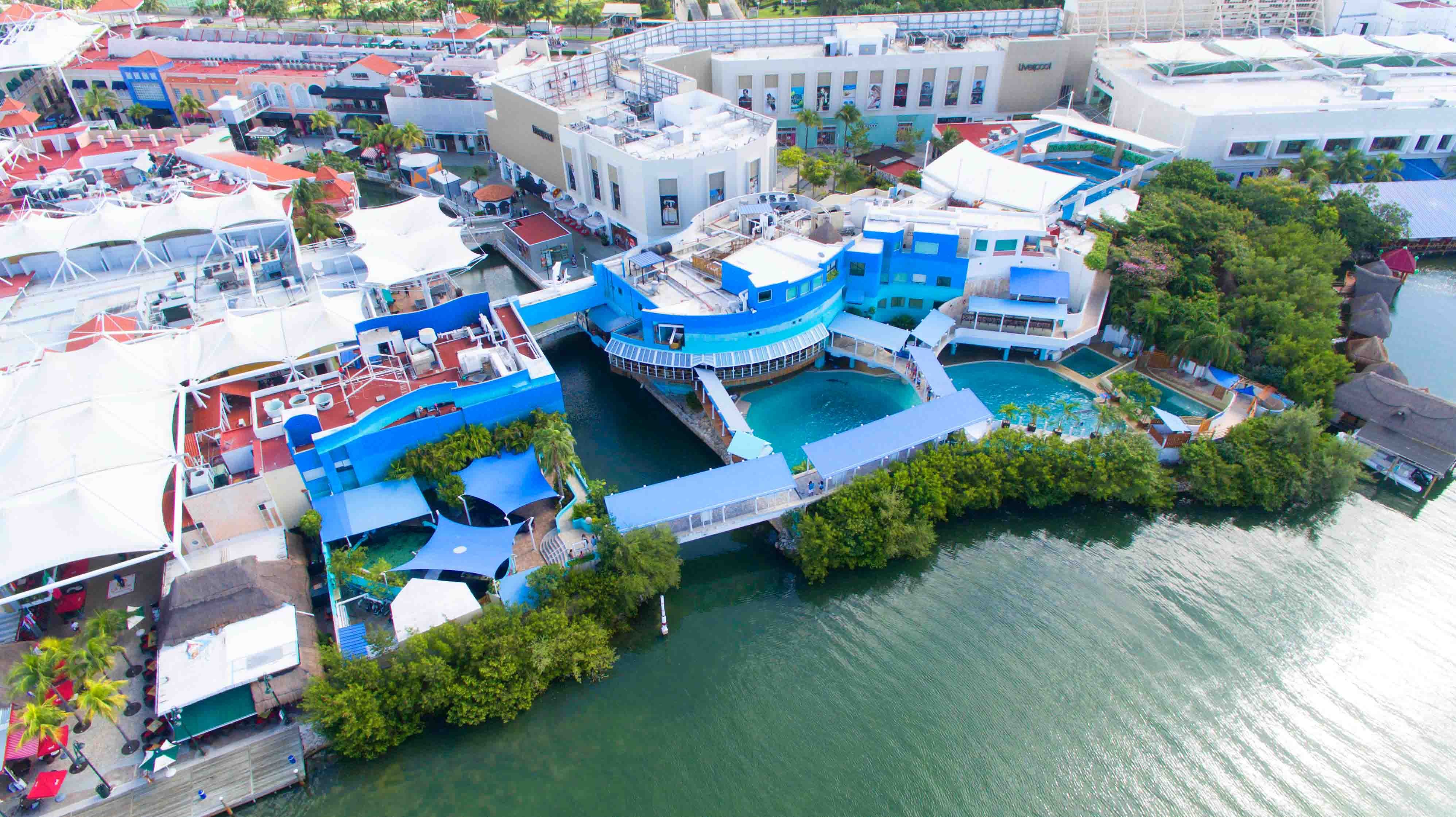 swim with dolphins in mexico in cancun