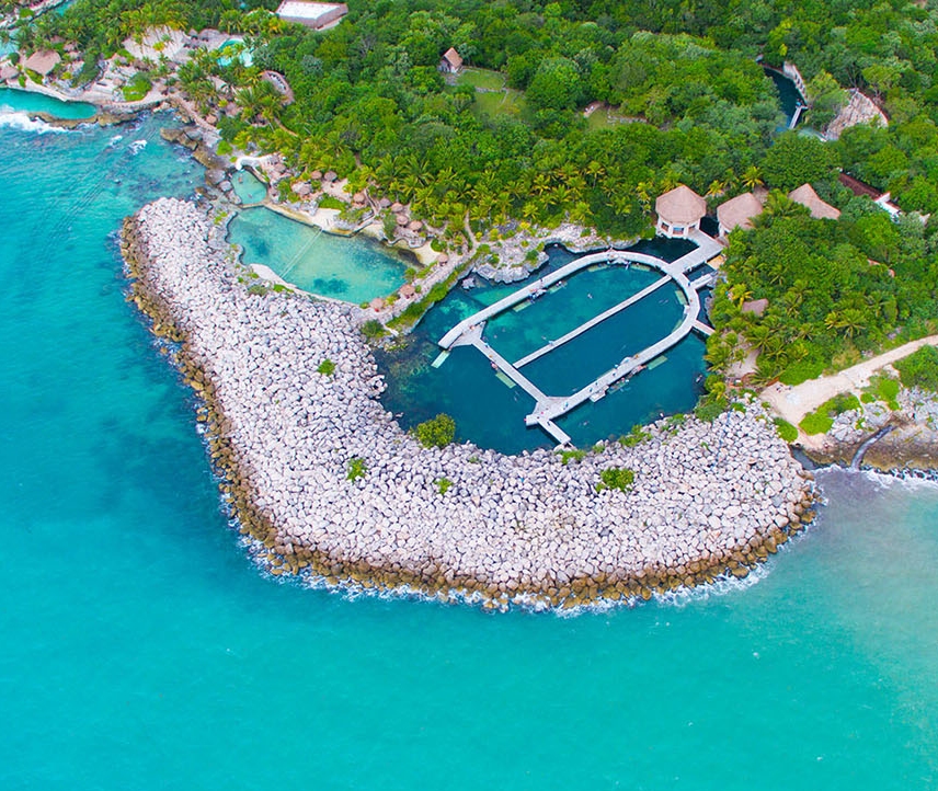 Delphinus Riviera Maya