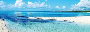 Discover the Best Beaches to Relax and Enjoy in Playa del Carmen