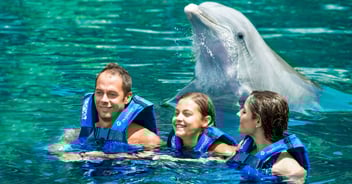 Nadar con delfines