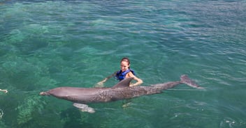 Vacaciones en la playa