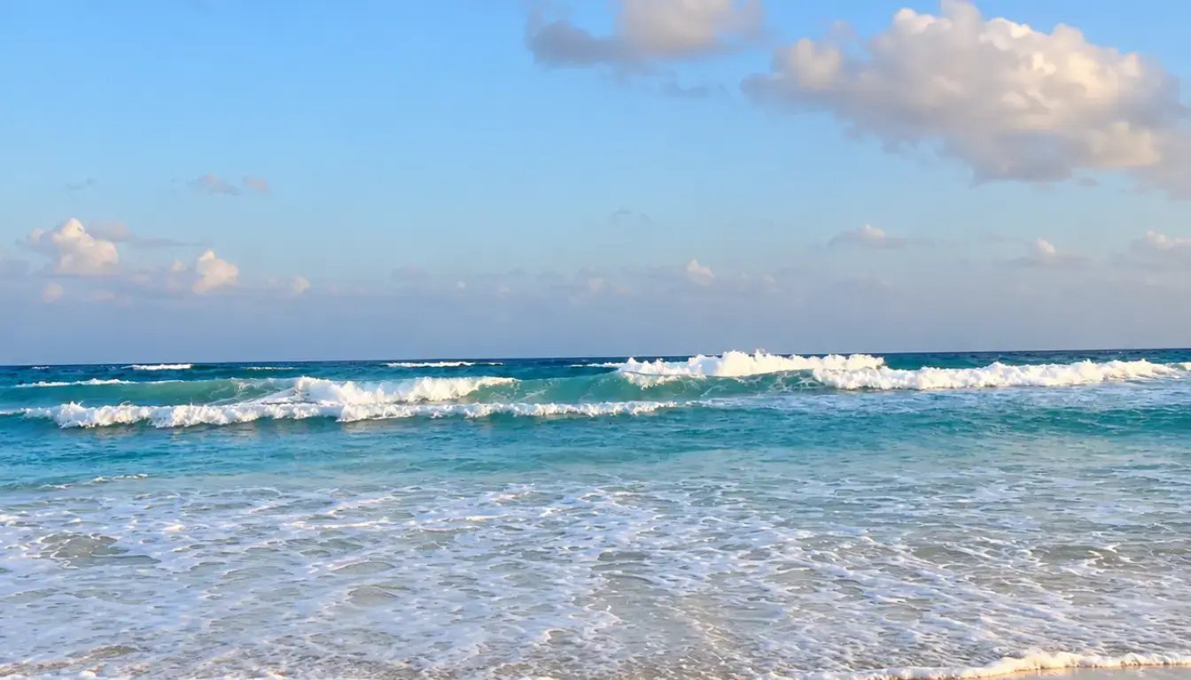 Playa Fórum