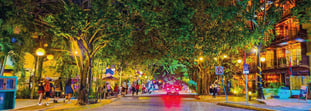 Nightlife in Playa del Carmen: Guide to Bars, Clubs, and Night Activities