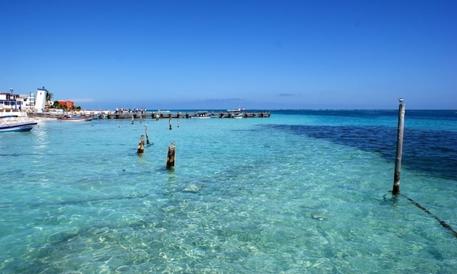 Puerto-morelos-playas-mas-hermosas-delphinus.png