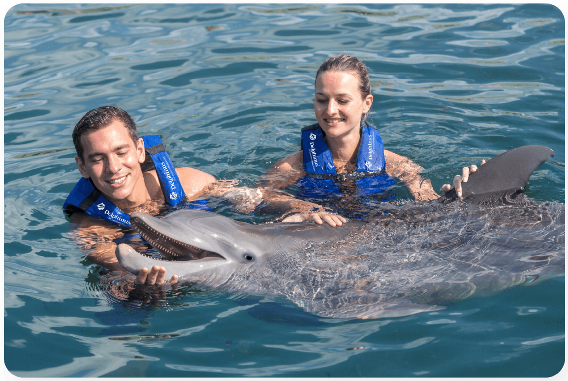 Recomendaciones de nados en delphinus