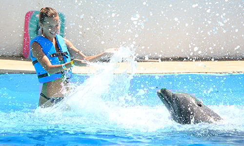 Splash aquarium