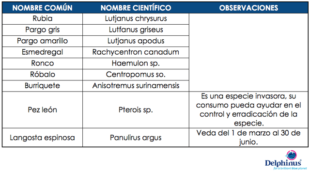 Consumo_responsable_de_pescados_y_mariscos_-_Delphinus.png