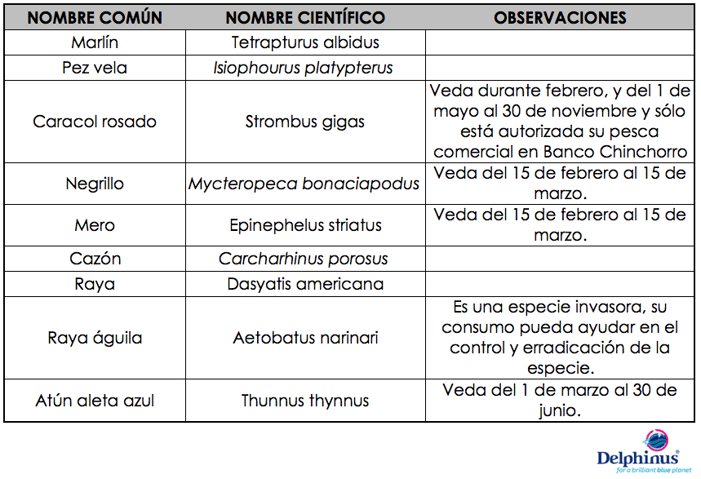 Consumo_responsable_de_pescados_y_mariscos 3-_Delphinus.png