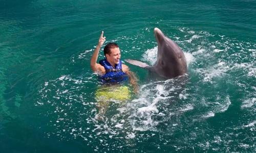 Swim with dolphins cancun riviera maya