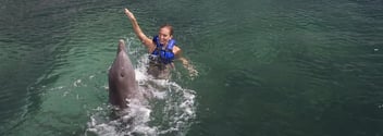 Nado con delfines en Playa del Carmen
