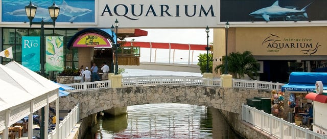 acuario-interactivo-cancun-nado-con-delfines.jpg