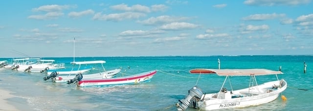 Puerto-Morelos-swimming-with-dolphins-cancun (1).png