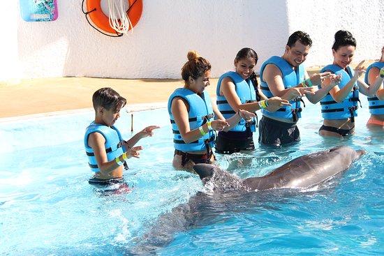 semana-santa-en-cancun-acuario.jpg